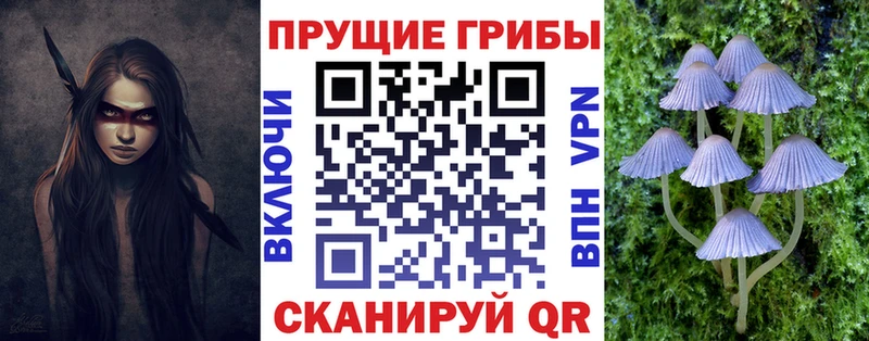 как найти закладки  Узловая  Галлюциногенные грибы Psilocybine cubensis 